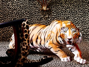 leopardo-alta-res-302